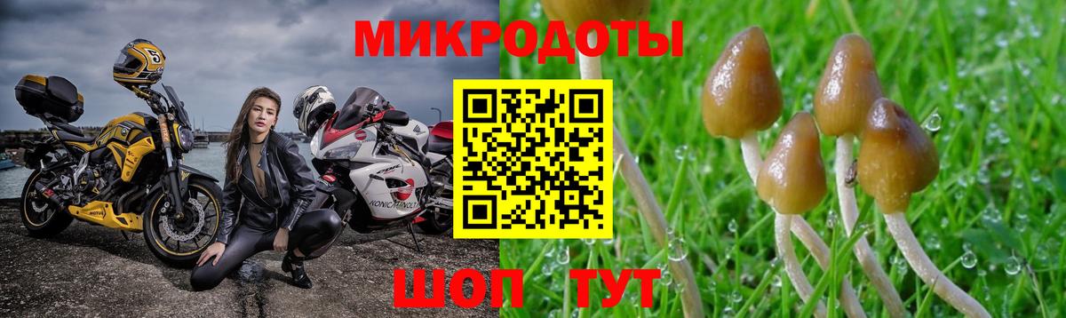 Галлюциногенные грибы ЛСД Когалым